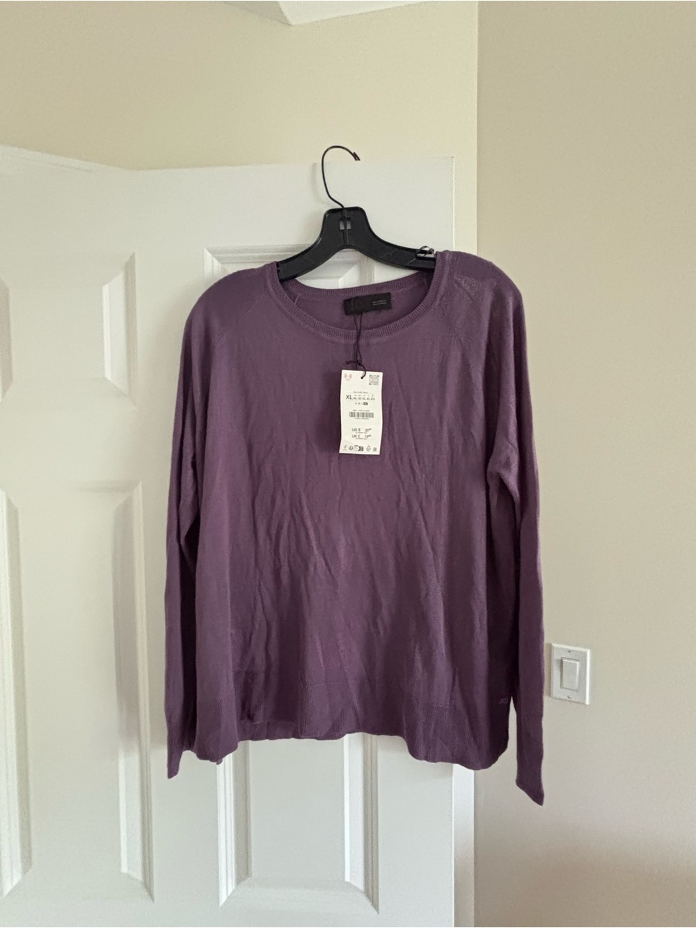 Zara Plum Crewneck Long-Sleeve Top, NWT
